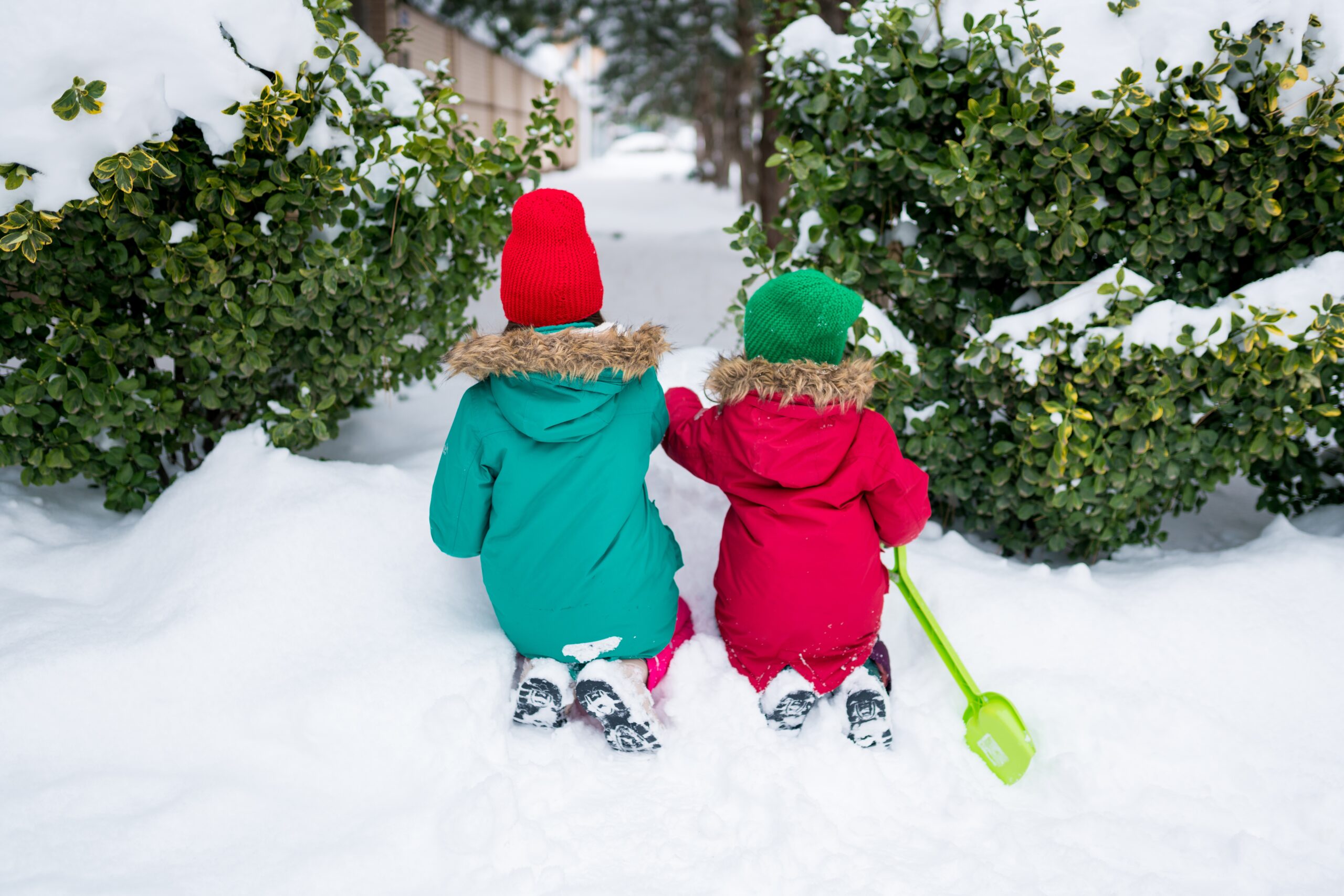 Jeune fille avec des chèvres Chèvres Ferme Jeunes en vacances Vacances à la ferme